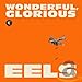 Wonderful Glorious: Deluxe Edition