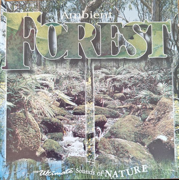 Ambient Forest