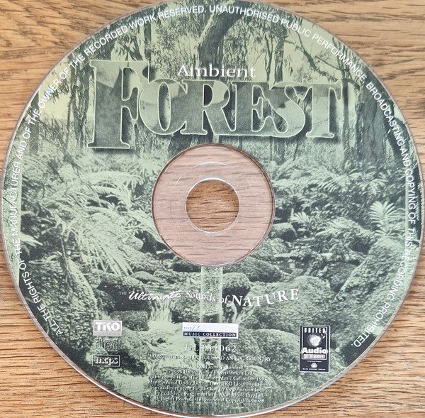 Ambient Forest Ambient Forest - Image 3