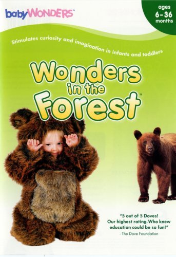 Wonders In The Forest