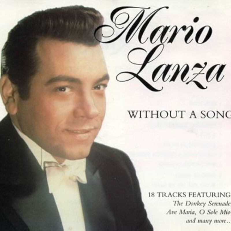 Without A Song