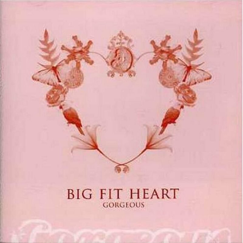 BIG FIT HEART