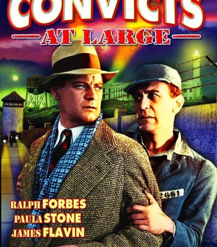 An innocent man is bamboozled into trading places with a dangerous esc
