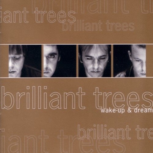Wake Up & Dream
